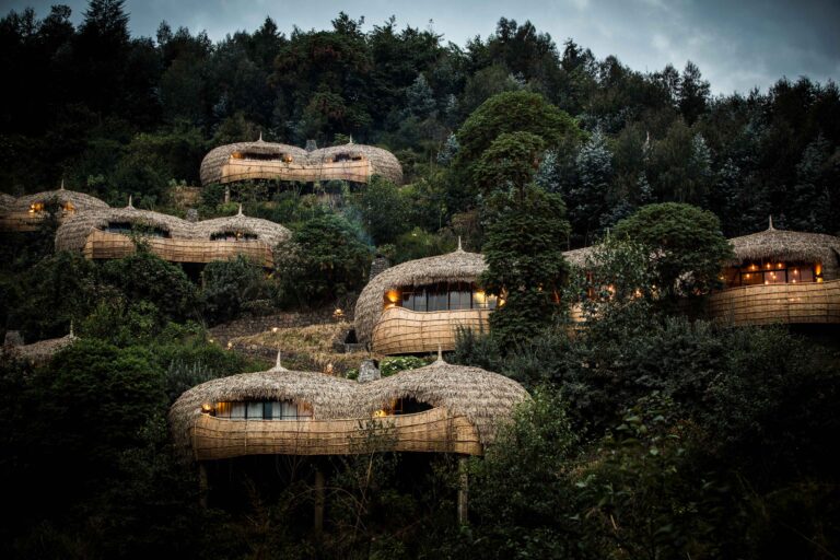Wilderness Bisate Lodge: Ultimate Luxury Gorilla Trekking in Rwanda